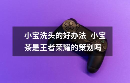 小宝洗头的好办法_小宝茶是王者荣耀的策划吗-第1张-游戏信息-龙启网