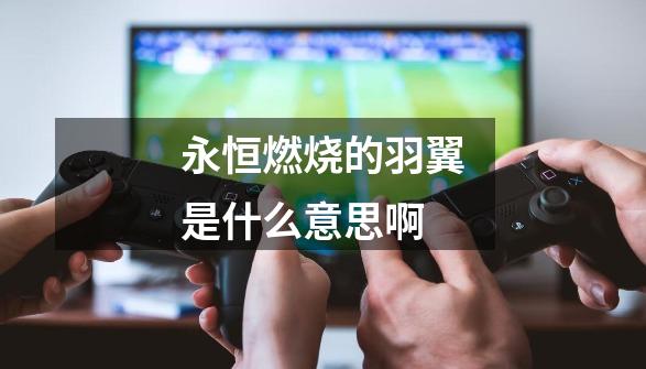 永恒燃烧的羽翼是什么意思啊-第1张-游戏信息-龙启网