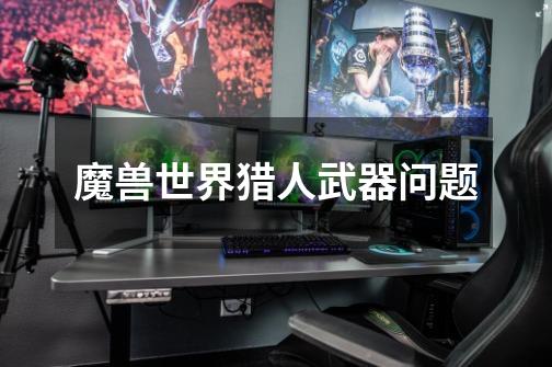 魔兽世界猎人武器问题-第1张-游戏信息-龙启网