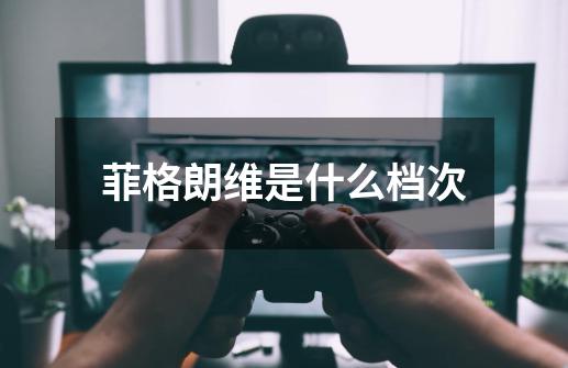 菲格朗维是什么档次-第1张-游戏信息-龙启网
