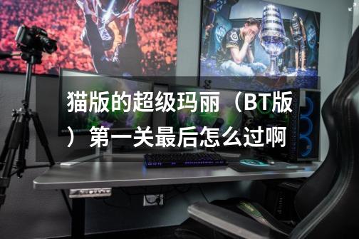 猫版的超级玛丽（BT版）第一关最后怎么过啊-第1张-游戏信息-龙启网