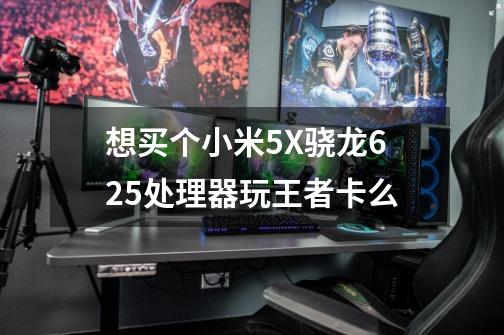 想买个小米5X骁龙625处理器玩王者卡么-第1张-游戏信息-龙启网