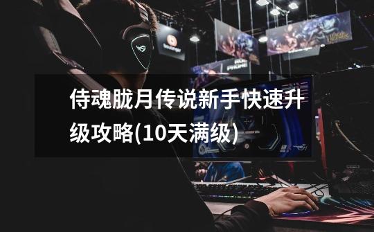 侍魂胧月传说新手快速升级攻略(10天满级)-第1张-游戏信息-龙启网
