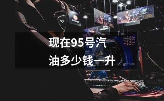 现在95号汽油多少钱一升-第1张-游戏信息-龙启网
