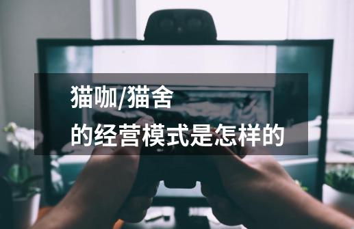 猫咖/猫舍的经营模式是怎样的-第1张-游戏信息-龙启网