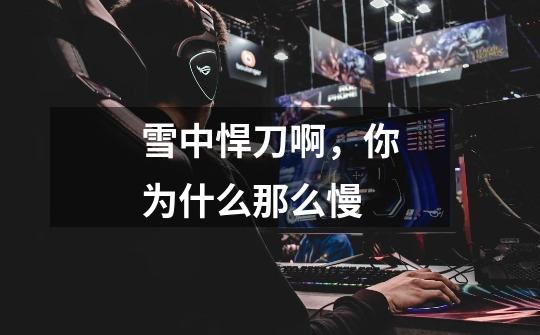 雪中悍刀啊,你为什么那么慢-第1张-游戏信息-龙启网