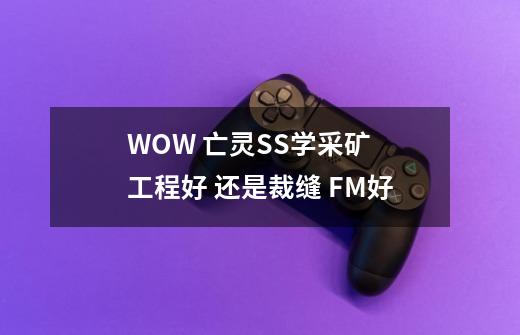 WOW 亡灵SS学采矿 工程好 还是裁缝 FM好-第1张-游戏信息-龙启网