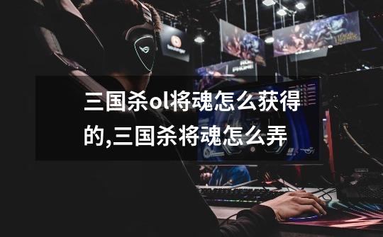 三国杀ol将魂怎么获得的,三国杀将魂怎么弄-第1张-游戏信息-龙启网