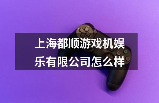 上海都顺游戏机娱乐有限公司怎么样-第1张-游戏信息-龙启网
