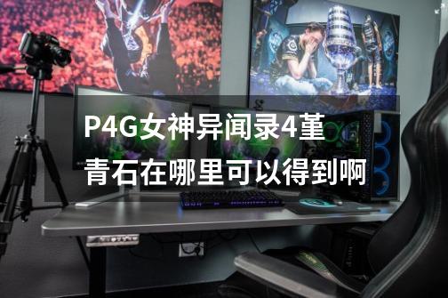P4G女神异闻录4堇青石在哪里可以得到啊-第1张-游戏信息-龙启网