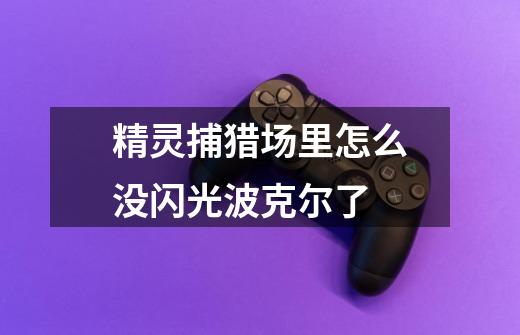精灵捕猎场里怎么没闪光波克尔了-第1张-游戏信息-龙启网
