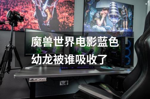 魔兽世界电影蓝色幼龙被谁吸收了-第1张-游戏信息-龙启网