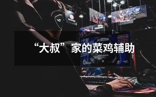 “大叔”家的菜鸡辅助-第1张-游戏信息-龙启网