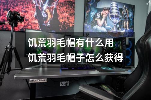 饥荒羽毛帽有什么用 饥荒羽毛帽子怎么获得-第1张-游戏信息-龙启网