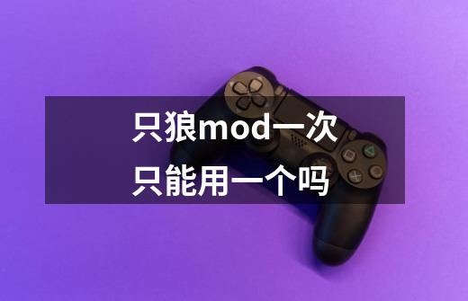 只狼mod一次只能用一个吗-第1张-游戏信息-龙启网