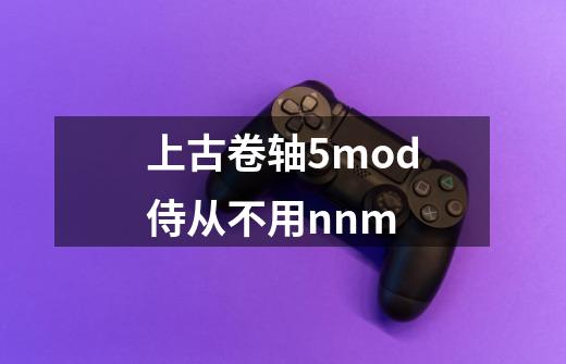 上古卷轴5mod侍从不用nnm-第1张-游戏信息-龙启网