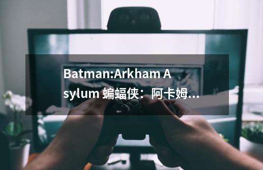 Batman:Arkham Asylum 蝙蝠侠:阿卡姆疯人院-第1张-游戏信息-龙启网