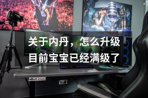 关于内丹,怎么升级.目前宝宝已经满级了-第1张-游戏信息-龙启网