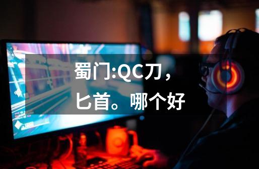 蜀门:QC刀,匕首。哪个好-第1张-游戏信息-龙启网
