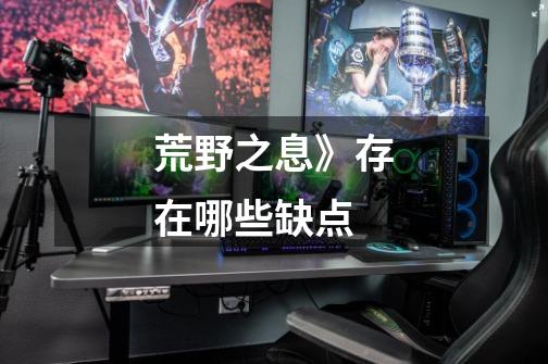 荒野之息》存在哪些缺点-第1张-游戏信息-龙启网