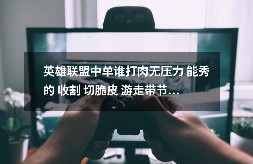 英雄联盟中单谁打肉无压力 能秀的 收割 切脆皮 游走带节奏-第1张-游戏信息-龙启网