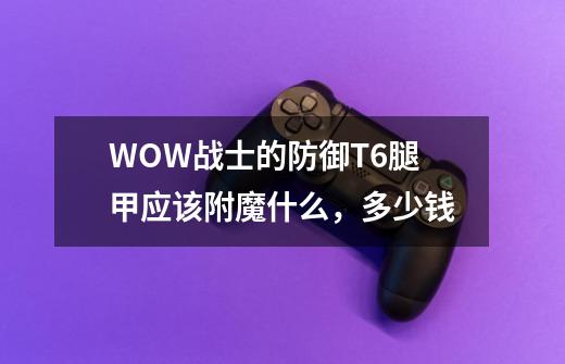 WOW战士的防御T6腿甲应该附魔什么,多少钱-第1张-游戏信息-龙启网