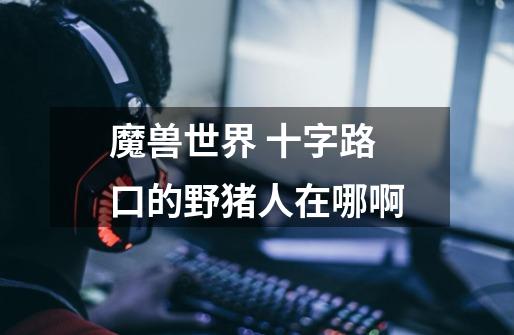 魔兽世界 十字路口的野猪人在哪啊-第1张-游戏信息-龙启网