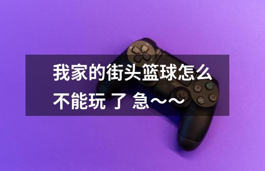 我家的街头篮球怎么不能玩 了 急～～-第1张-游戏信息-龙启网