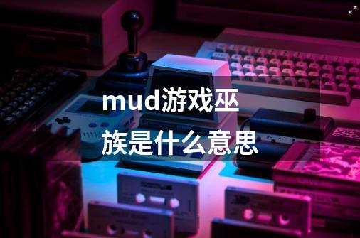 mud游戏巫族是什么意思-第1张-游戏信息-龙启网