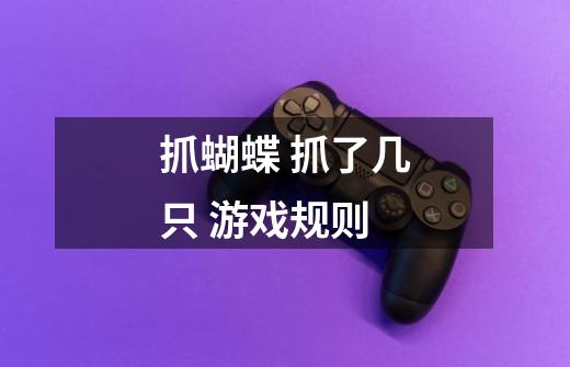 抓蝴蝶 抓了几只 游戏规则-第1张-游戏信息-龙启网