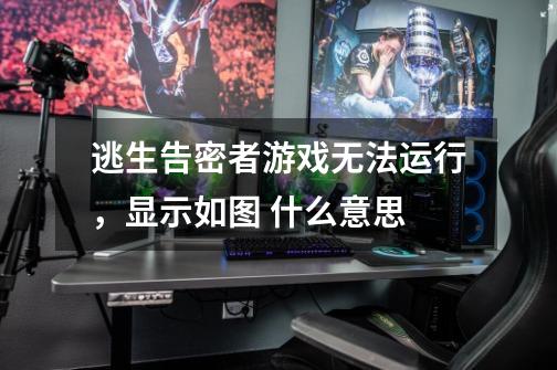 逃生告密者游戏无法运行，显示如图 什么意思-第1张-游戏信息-龙启网