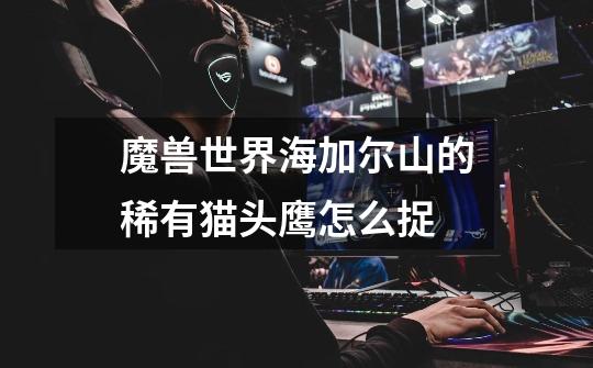 魔兽世界海加尔山的稀有猫头鹰怎么捉-第1张-游戏信息-龙启网