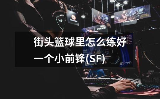 街头篮球里怎么练好一个小前锋(SF)-第1张-游戏信息-龙启网
