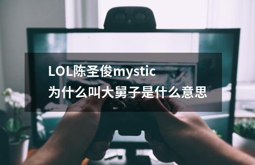LOL陈圣俊mystic为什么叫大舅子是什么意思-第1张-游戏信息-龙启网