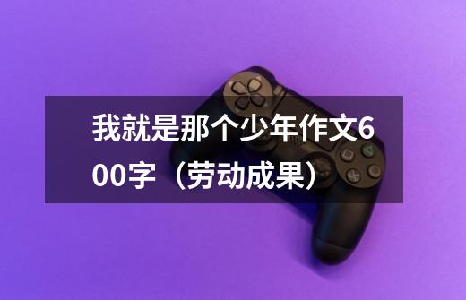 我就是那个少年作文600字(劳动成果)-第1张-游戏信息-龙启网