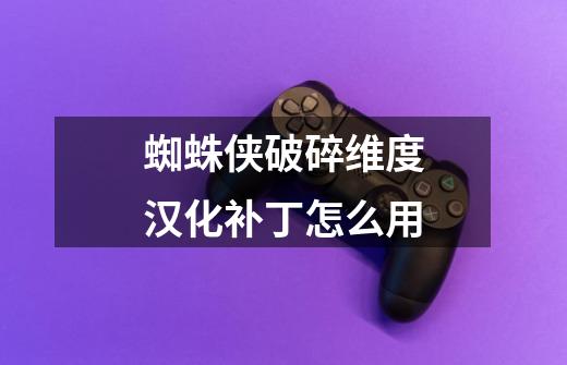 蜘蛛侠破碎维度汉化补丁怎么用-第1张-游戏信息-龙启网