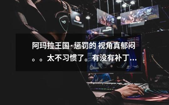 阿玛拉王国·惩罚的 视角真郁闷。。太不习惯了。有没有补丁调整一下,让它跟CF的一样-第1张-游戏信息-龙启网