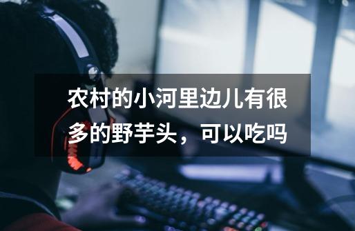 农村的小河里边儿有很多的野芋头,可以吃吗-第1张-游戏信息-龙启网
