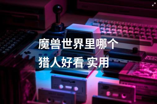 魔兽世界里哪个猎人好看 实用-第1张-游戏信息-龙启网