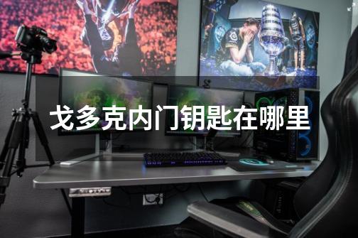 戈多克内门钥匙在哪里-第1张-游戏信息-龙启网