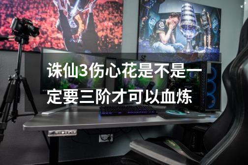 诛仙3伤心花是不是一定要三阶才可以血炼-第1张-游戏信息-龙启网