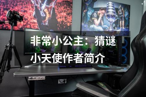 非常小公主:猜谜小天使作者简介-第1张-游戏信息-龙启网
