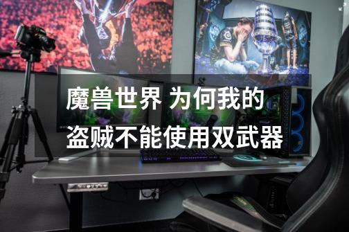 魔兽世界 为何我的盗贼不能使用双武器-第1张-游戏信息-龙启网