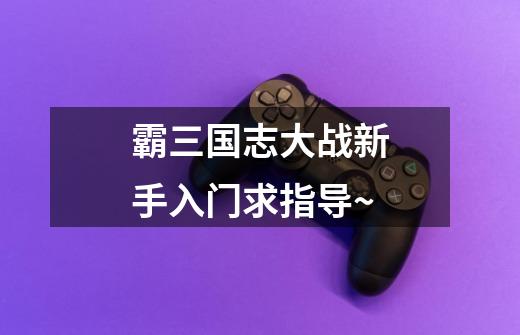 霸三国志大战新手入门求指导~-第1张-游戏信息-龙启网