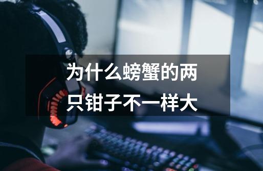 为什么螃蟹的两只钳子不一样大-第1张-游戏信息-龙启网