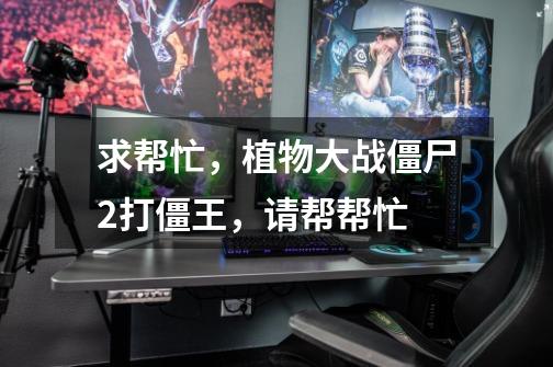 求帮忙,植物大战僵尸2打僵王,请帮帮忙-第1张-游戏信息-龙启网