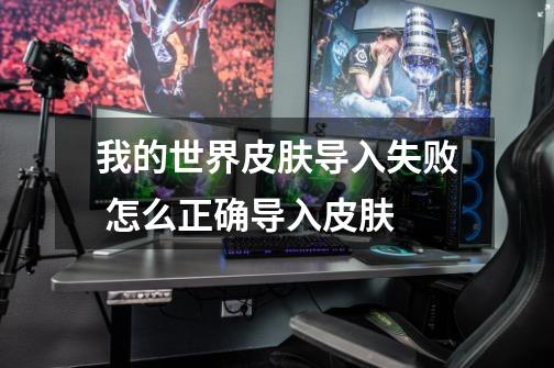 我的世界皮肤导入失败 怎么正确导入皮肤-第1张-游戏信息-龙启网