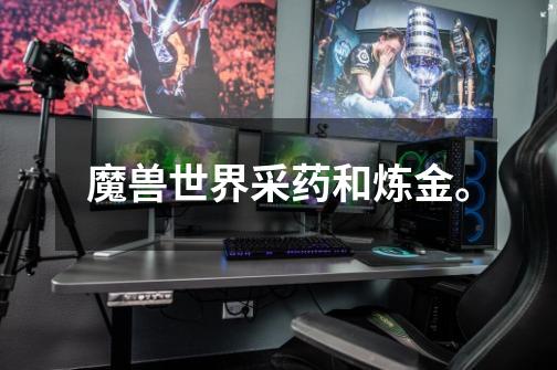 魔兽世界采药和炼金。-第1张-游戏信息-龙启网