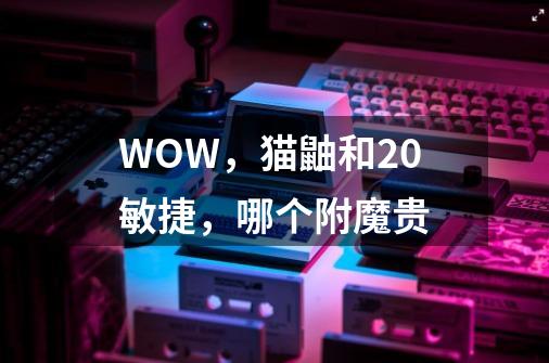 WOW，猫鼬和20敏捷，哪个附魔贵-第1张-游戏信息-龙启网