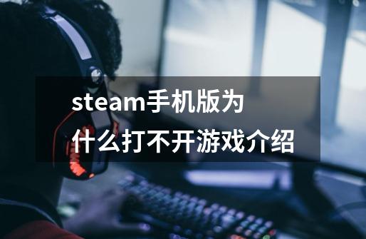 steam手机版为什么打不开游戏介绍-第1张-游戏信息-龙启网